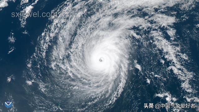 台风蝴蝶来袭：我的抗风记与公路淹没惊魂